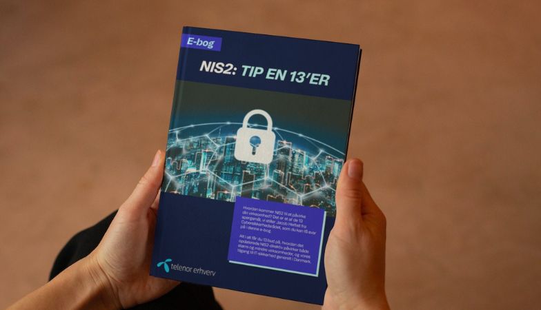 E-bog: NIS2 - TIP EN 13'ER